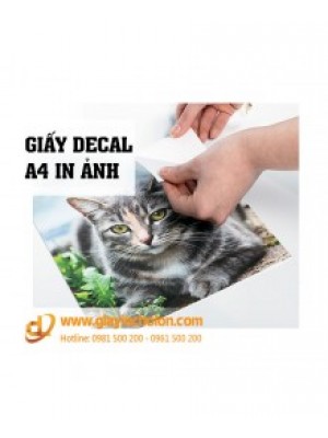 Giấy decal a4 in ảnh