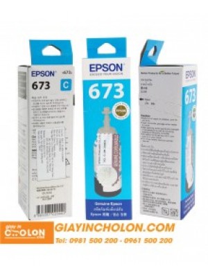 Mực in chính hãng EPSON T673