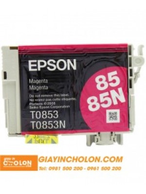 Mực in chính hãng Epson T60 (85N)